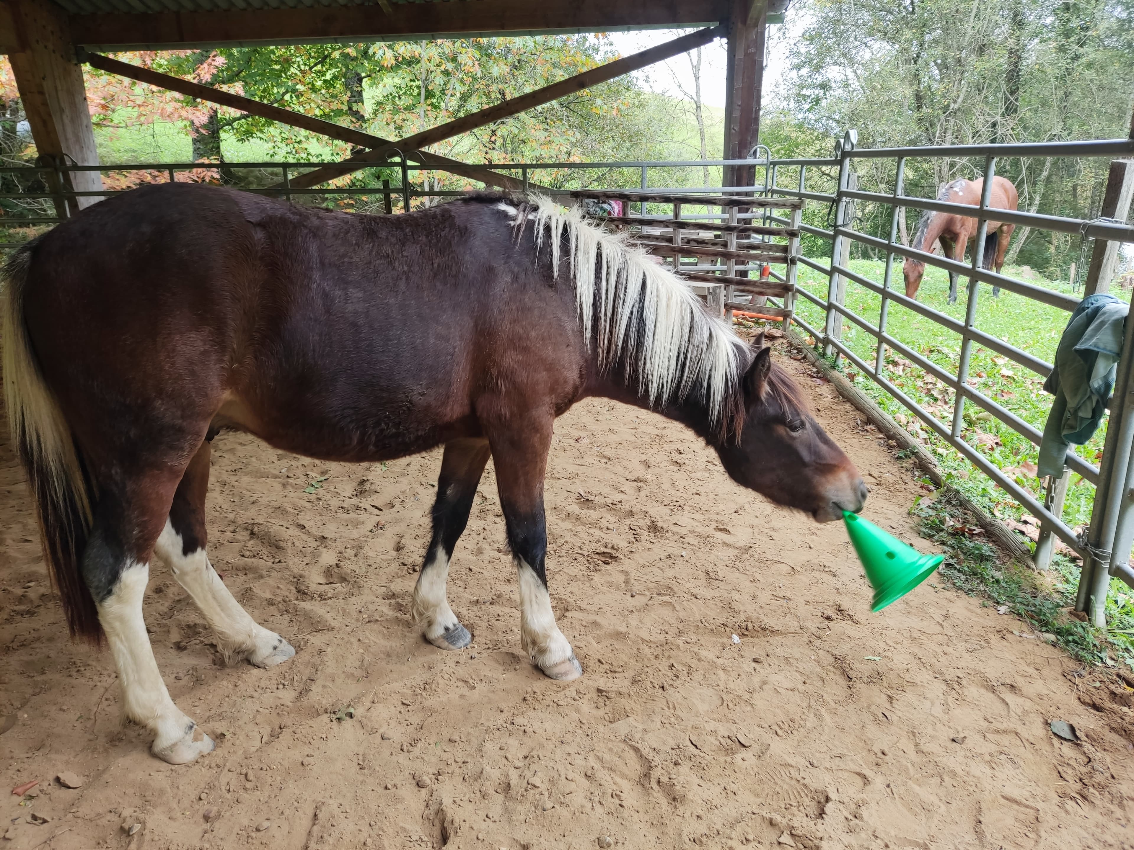 Nahiko d'Akelarrea - Photo 2